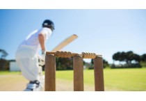 Cricket